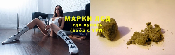 стафф Ладушкин