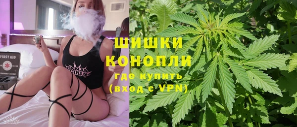 стафф Ладушкин